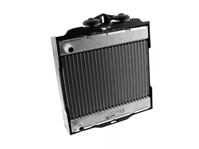 BMW Auxiliary Radiator | 2010-2019 17117805630