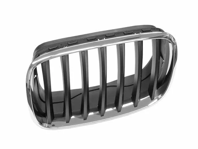 BMW Grille – Chrome Frame with Black Grille | 2007-2013 51137157687