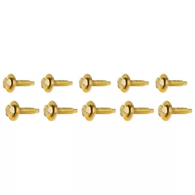Body Bolt 1-1/8in 10pk Gold
