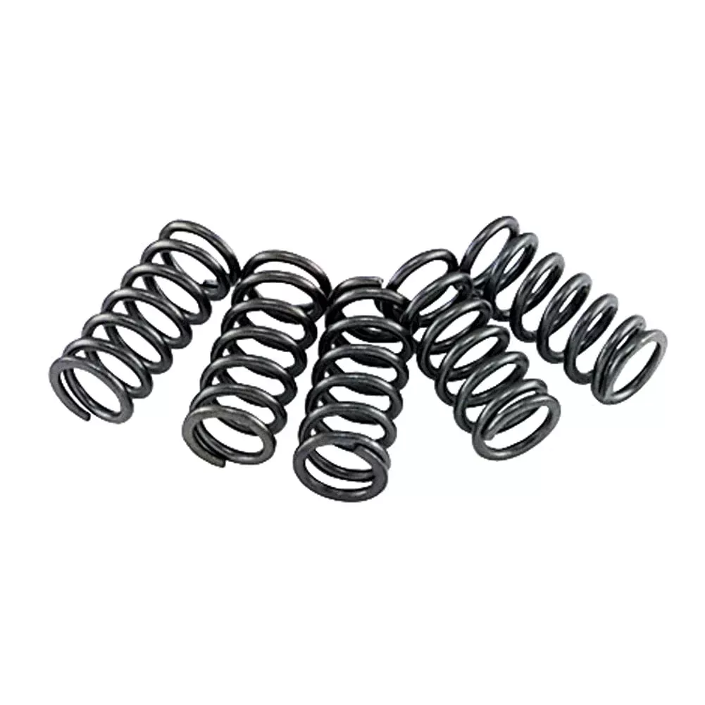 Ebc Clutch Spring Set For Honda Shadow 750 Ace Vt750C 1998-2003