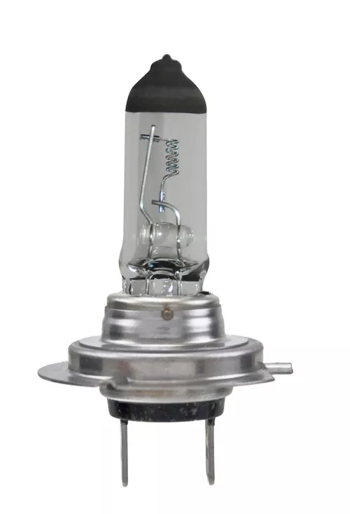 Hella Bulb 24v 70w Px26d T4.625 H7 24V