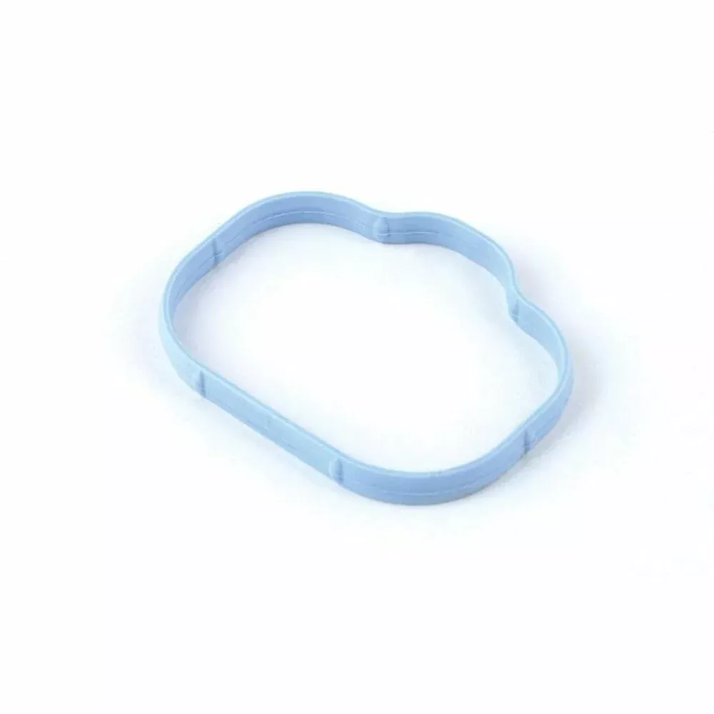 Plenum Gasket