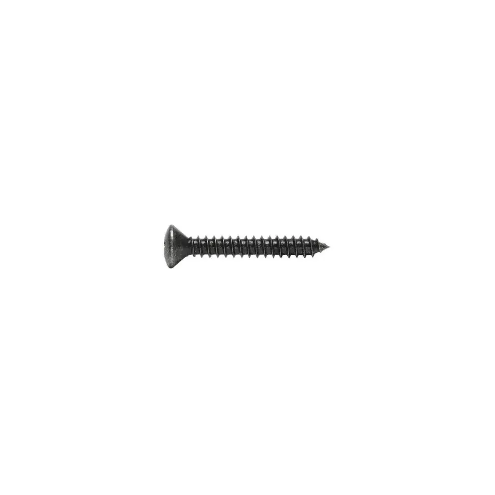 Porsche 2.9x16 BZ Oval Phillips Metric Screw 25 Pieces7983BZ2-9X16