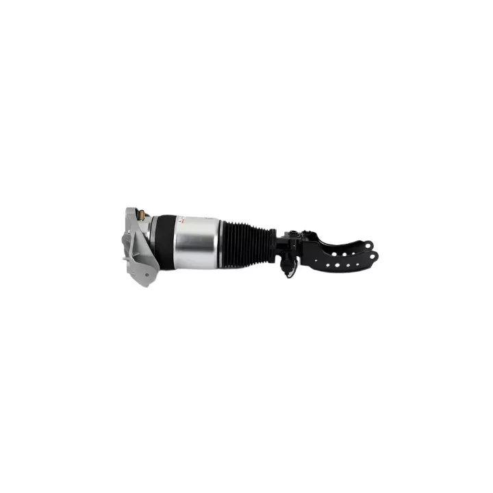 Porsche Air Suspention Strut – Right – Cayenne | 2006955-343-034-45