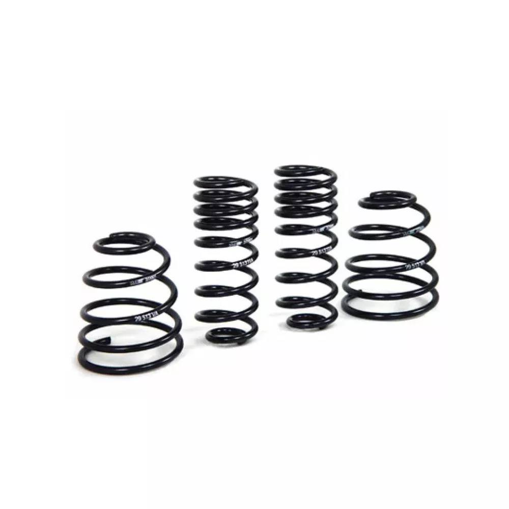 Porsche Coil Spring Kit – 911 98-0429513