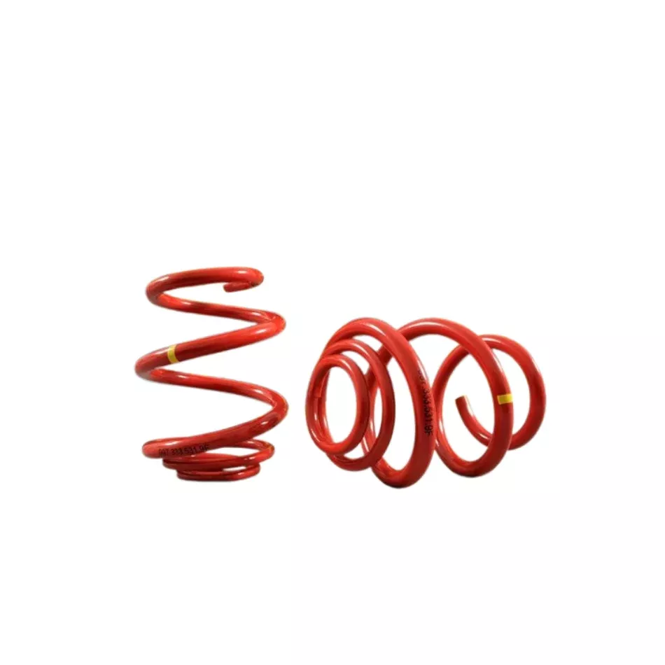 Porsche Coil Spring Set – 911 20109973335319F504