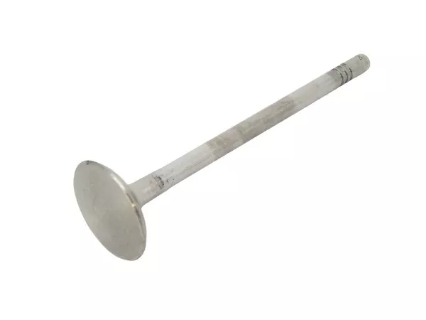 Porsche Engine Intake Valve – Cayenne 13-16955-105-601-20