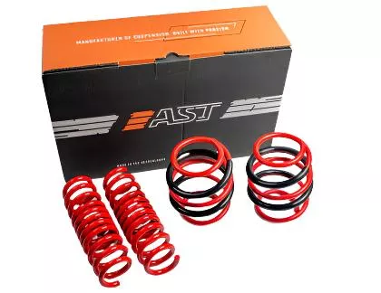 Porsche Lowering Springs - 911 90-93ASTLS-14-1779