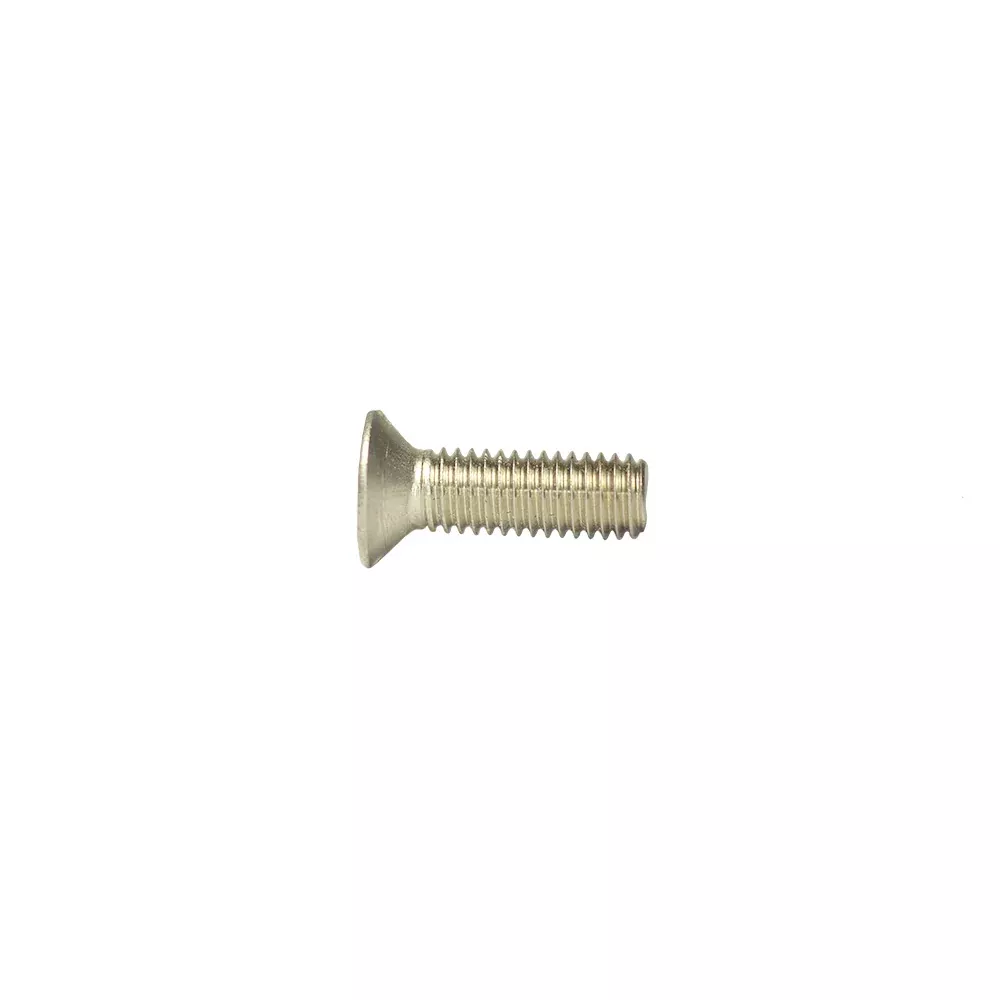 Porsche M06X10 Stainless 963 Machine Screw 10 Pieces963A2M06X10