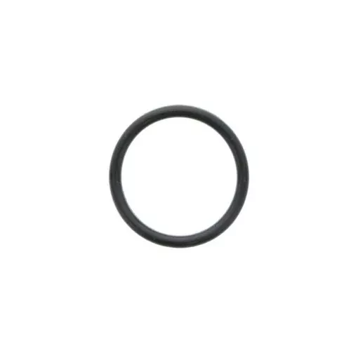 Porsche O-Ring - Cayenne/Macan/Panamera 14-18999-707-677-41
