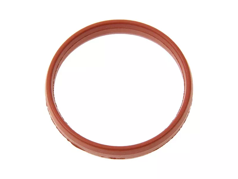 Porsche Oil Separator Seal - 911 05-08997-107-538-00