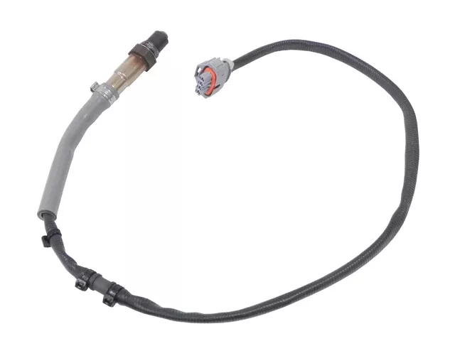 Porsche Oxygen Sensor (After Catalyst), 911 | 2009-2012 9A160617702