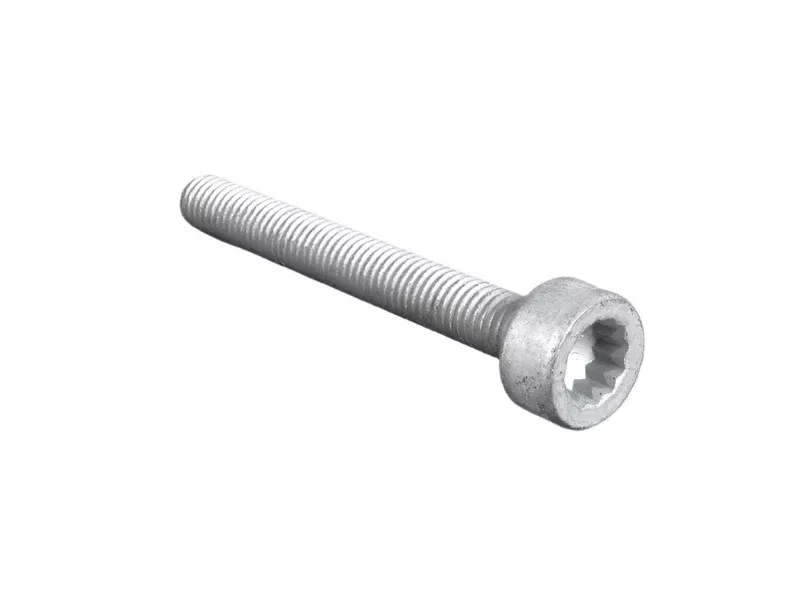 Porsche Polygon Socket Bolt – Cayenne 11-15N-910-455-02