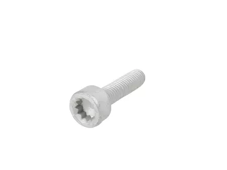 Porsche Socket Head Bolt – Cayenne/Panamera 10-15N-911-287-01