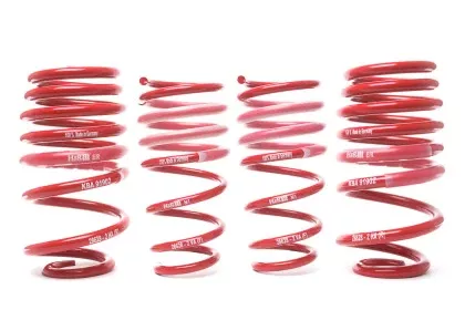 Porsche Sport Spring Kit – 911 202128628-2
