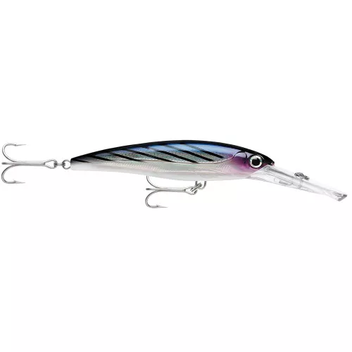 Rapala X-Rap Magnum 15 Bonito