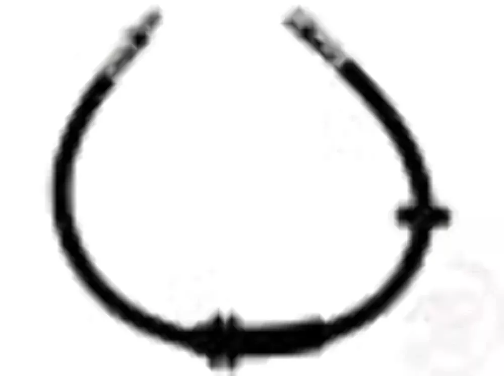 Raybestos Brake Element3 Bh384385 Brake Hose