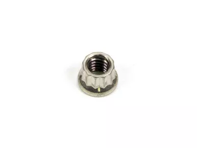 S/S 12pt. Nut - 1/4-20 (1)