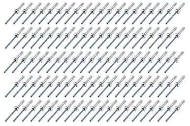 Small Head Rivet Silver 100pc 3/16in